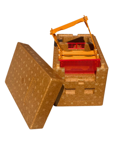 Ruchette de fécondation APIDEA