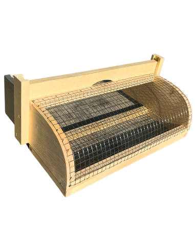 Muselière contre les frelons asiatiques