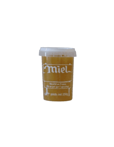 Pot à miel en plastique Nicot - 250g