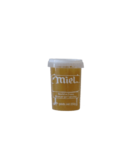 Pot à miel en plastique Nicot - 250g