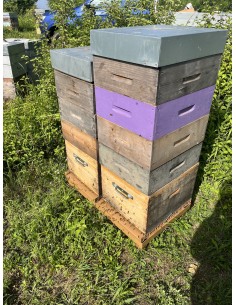 Ruche Complète - Dadant ou Langstroth